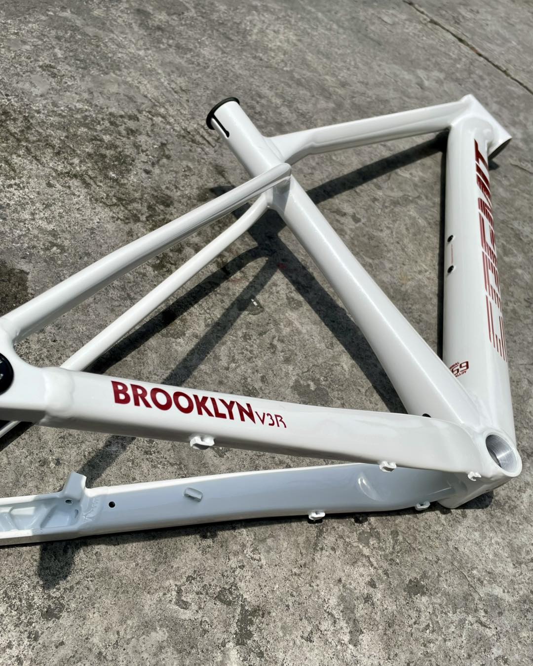 White and red Sagmit Brooklyn V3R 29er frame with MTB features