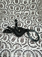 Deore M6100 12s Microspline drivetrain kit smooth shifting MTB