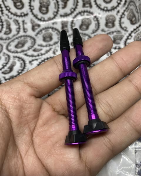 Presta tubeless valve pair lightweight and durable