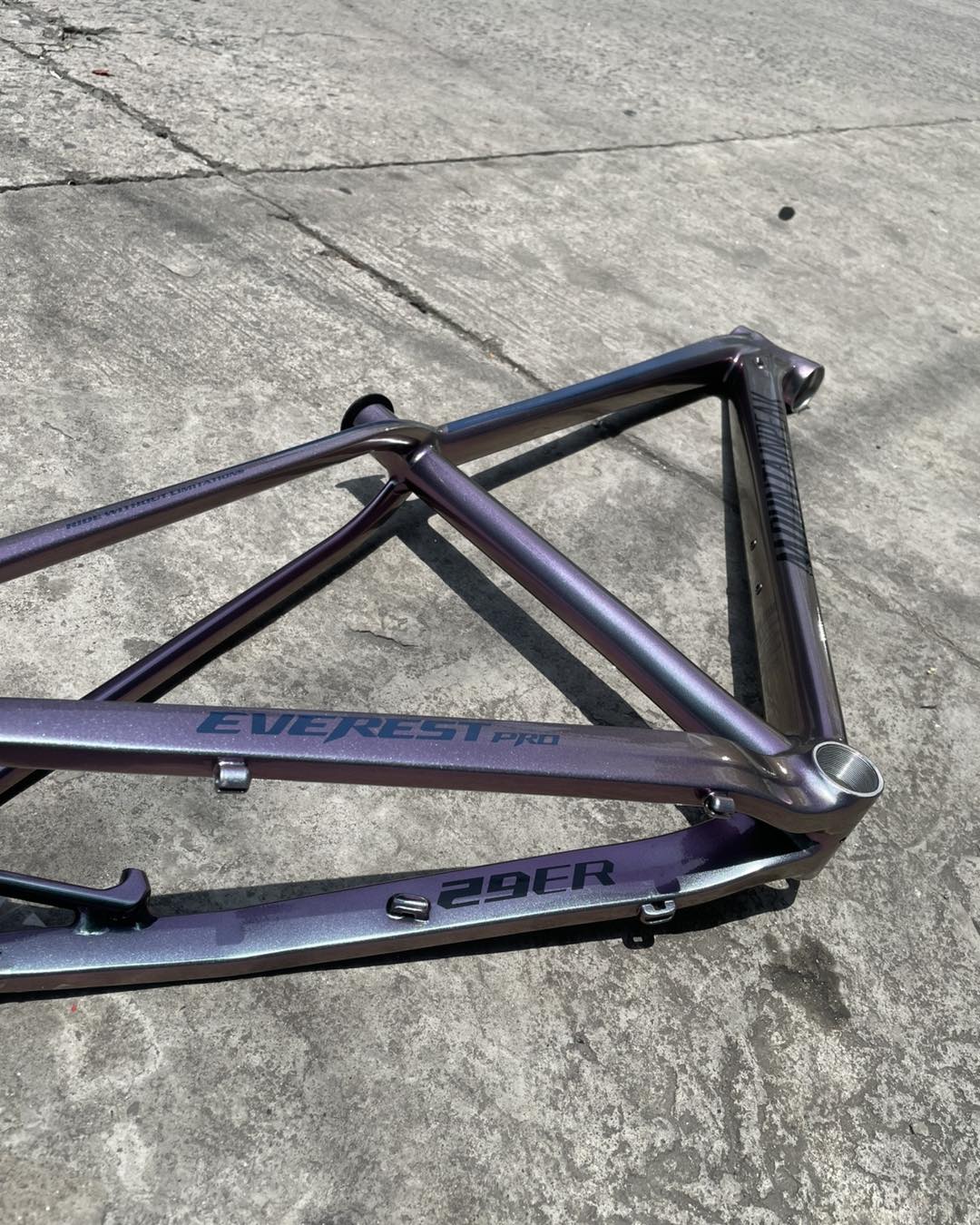 MOUNTAINPEAK EVEREST PRO THRU AXLE 29ER LARGE CHAMELEON COLOR