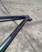 MOUNTAINPEAK EVEREST PRO THRU AXLE 29ER LARGE CHAMELEON COLOR