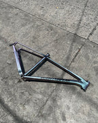 MOUNTAINPEAK EVEREST PRO THRU AXLE 29ER LARGE CHAMELEON COLOR