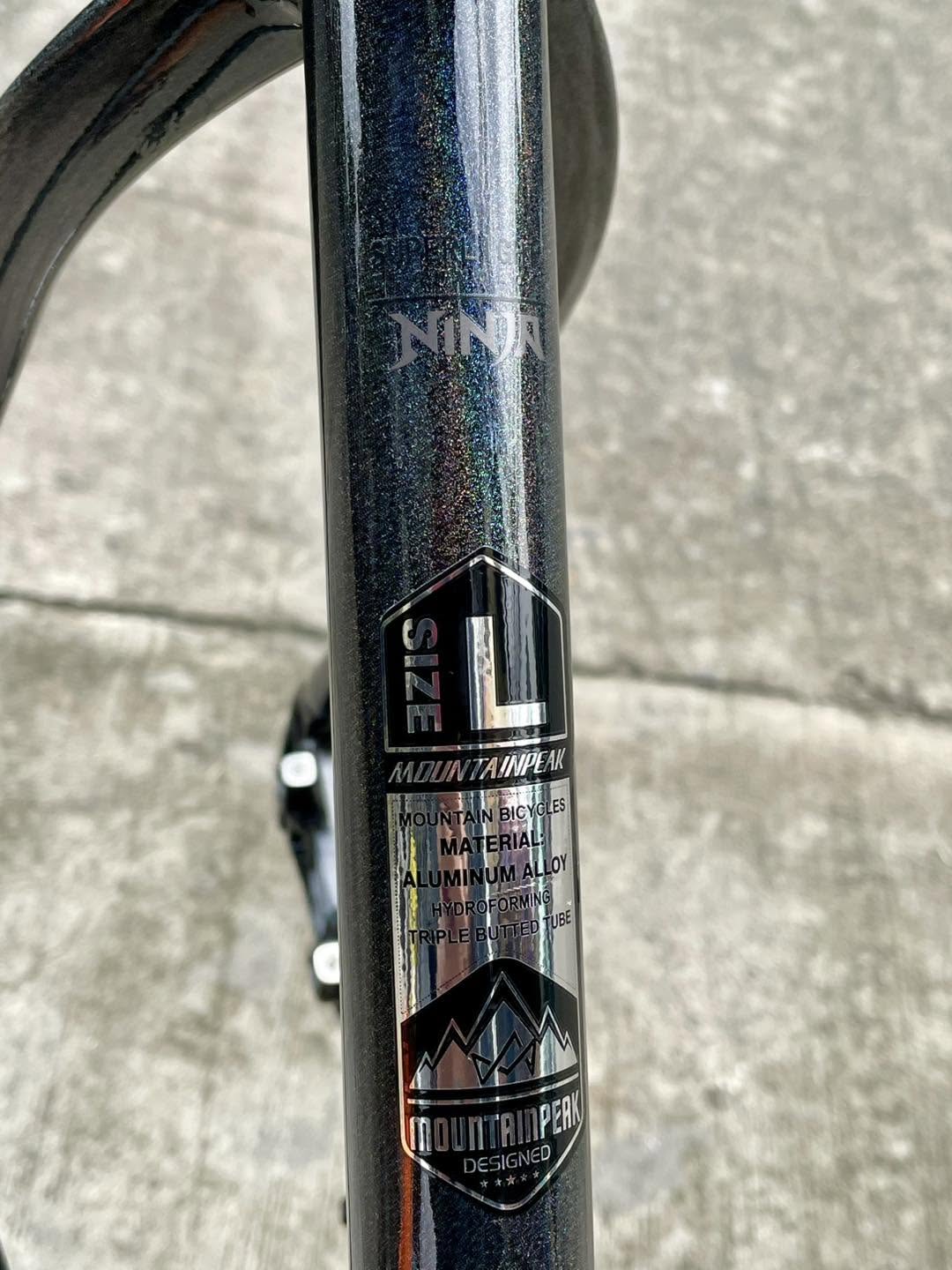 MountainPeak 29  NINJA 1 BLACK CHAMELON Frame