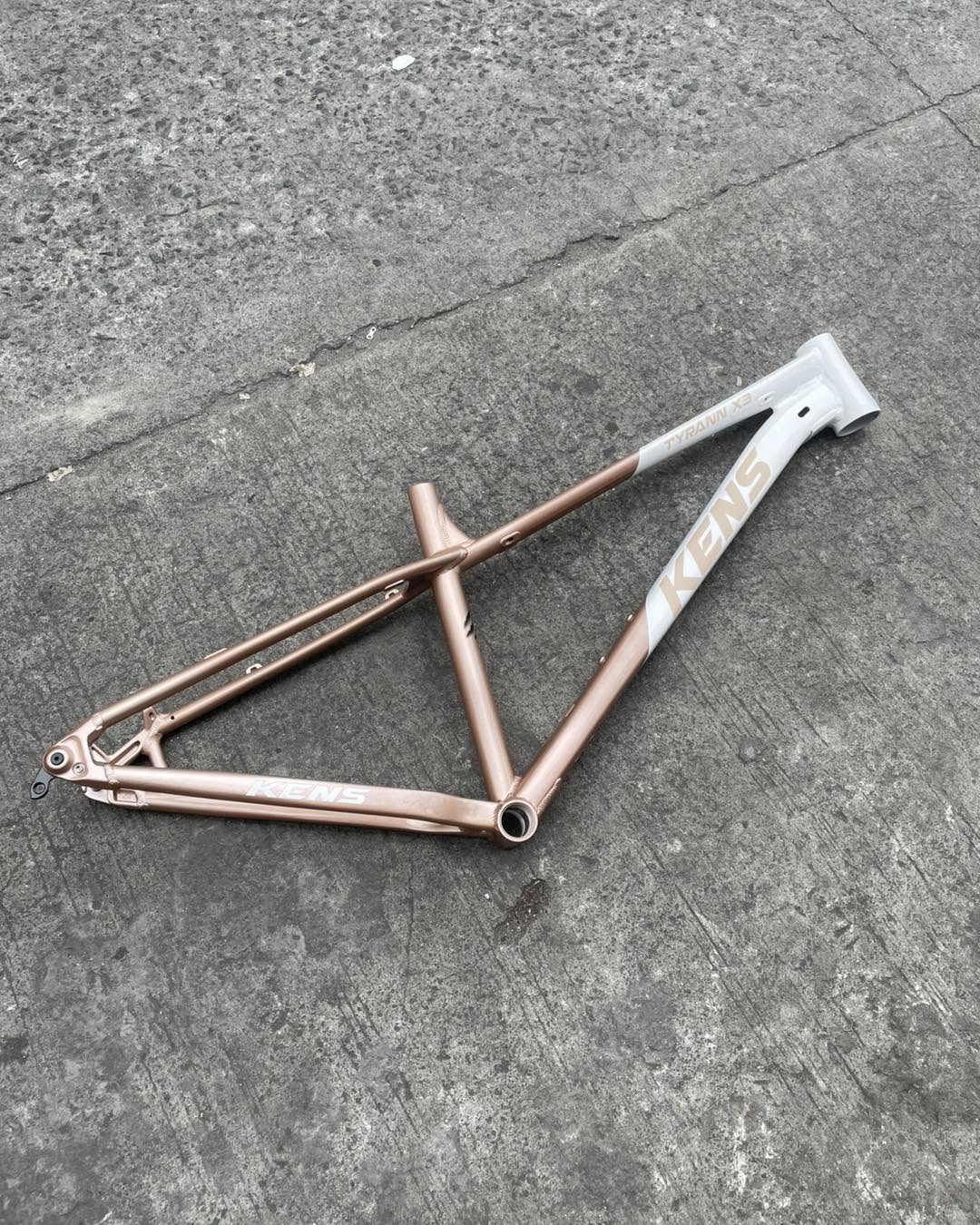KENS TYRANN X3 29ER SMALL CHAMPAGNE ALLOY FRAME – JE BIKESHOP