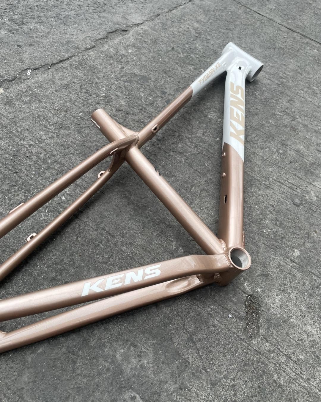 KENS TYRANN X3 29ER SMALL CHAMPAGNE ALLOY FRAME – JE BIKESHOP