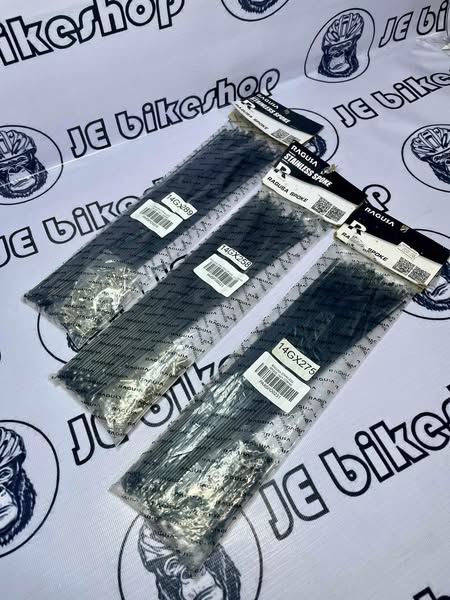 RAGUSA STAINLESS SPOKES AND NIPPLES